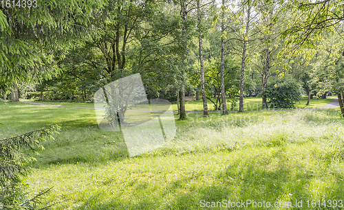 Image of idyllic park scenery