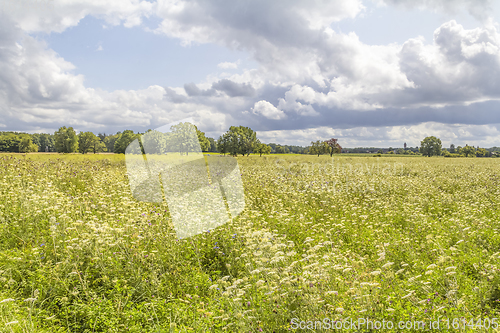 Image of rural scenery in Hohenlohe