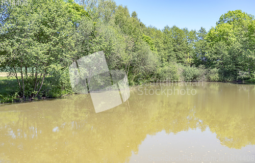 Image of sunny lake scenery