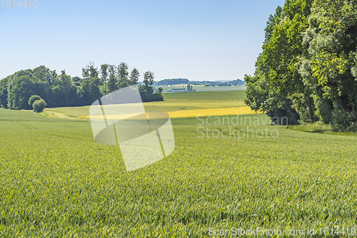 Image of rural scenery in Hohenlohe