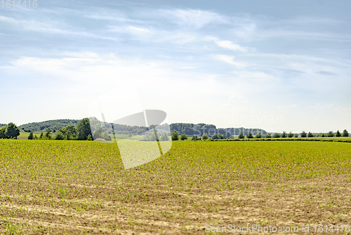 Image of rural landscape at spring time