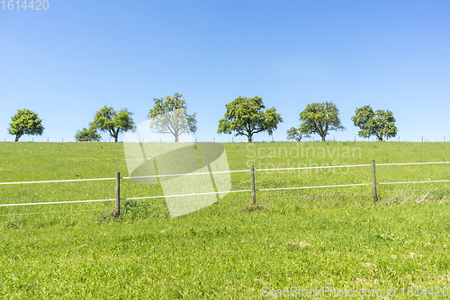 Image of idyllic spring time scenery