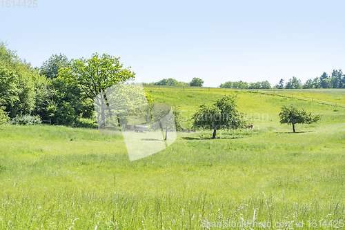 Image of idyllic spring time scenery