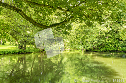 Image of idyllic park scenery