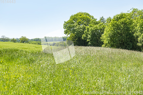 Image of idyllic spring time scenery