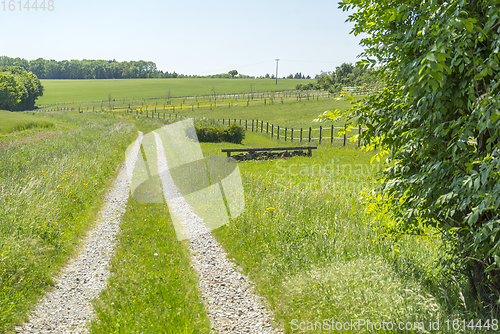 Image of idyllic rural scenery