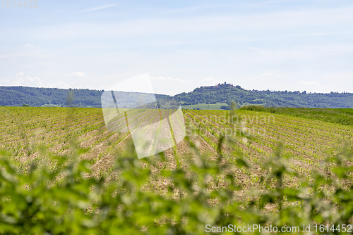 Image of rural landscape at spring time