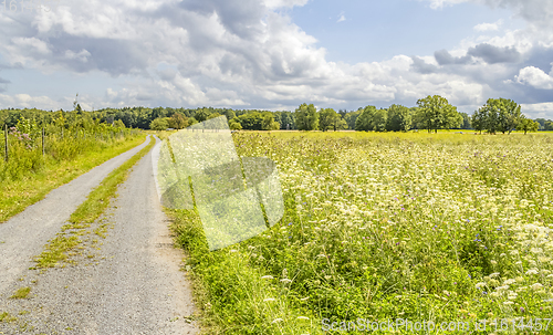 Image of rural scenery in Hohenlohe