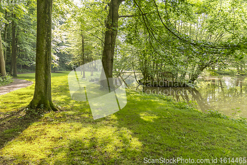 Image of idyllic park scenery