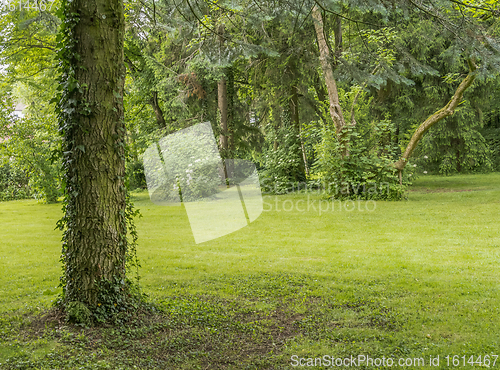 Image of idyllic park scenery