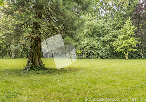 Image of idyllic park scenery