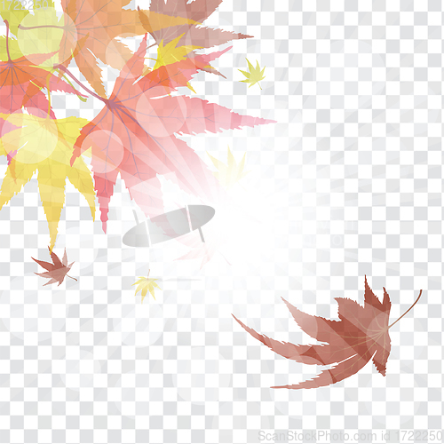 Image of Maple leaves on transparency grid