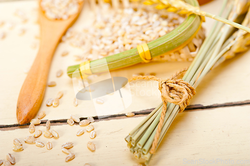 Image of organic barley grains