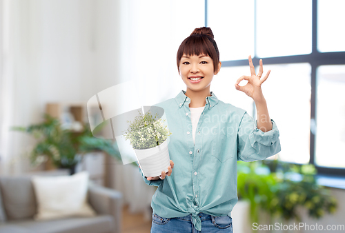 Image of happy smiling asian woman holding flower in pot