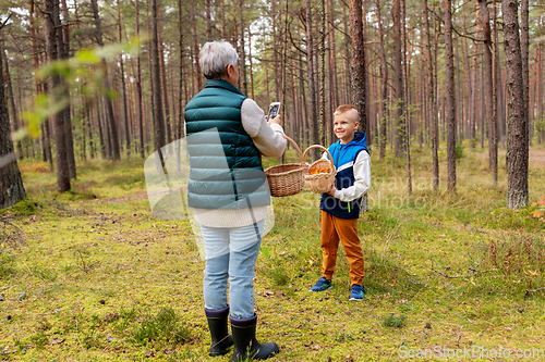 Image of grandmother photographing grandson with mushrooms