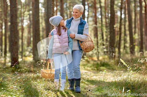 Image of grandmother and granddaughter picking mushrooms