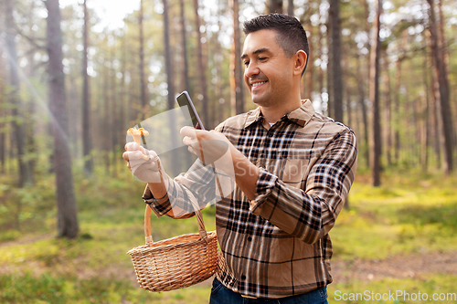 Image of man using smartphone to identify mushroom