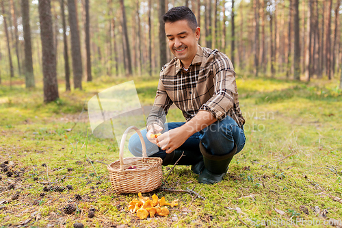 Image of happy man with basket picking mushrooms in forest