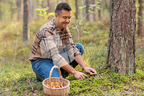 Image of happy man with basket picking mushrooms in forest