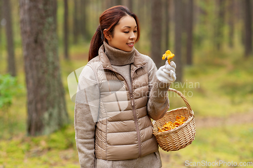 Image of young woman picking mushrooms in autumn forest