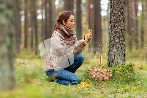 Image of young woman picking mushrooms in autumn forest