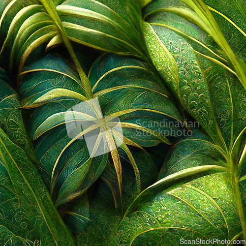 Image of Nature view of green tropical plants leaves background.