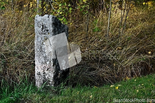 Image of granite boundary stone in the forest