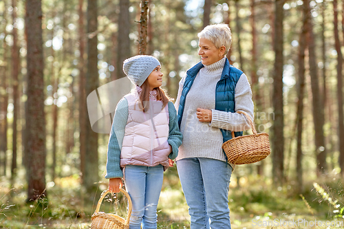 Image of grandmother and granddaughter picking mushrooms