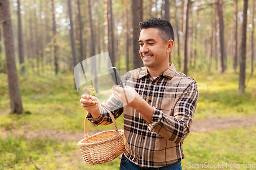 Image of man using smartphone to identify mushroom