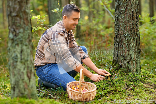 Image of happy man with basket picking mushrooms in forest