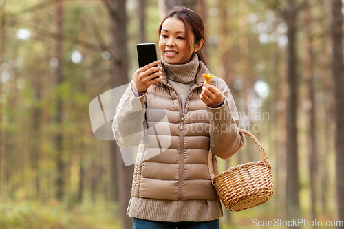 Image of asian woman using smartphone to identify mushroom