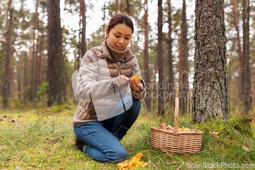 Image of young woman picking mushrooms in autumn forest