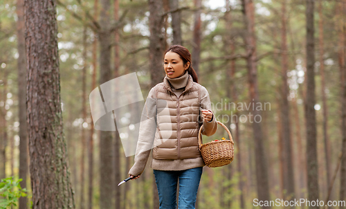 Image of young woman picking mushrooms in autumn forest