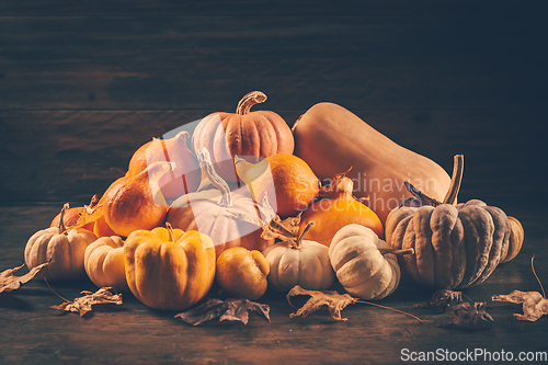 Image of Assortment of pumpkins with autumn leaves on wooden background