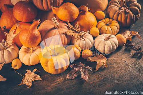 Image of Assortment of pumpkins with autumn leaves on wooden background