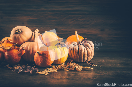 Image of Assortment of pumpkins with autumn leaves on wooden background