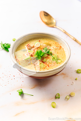 Image of Delicious homemade leek soup with minced meat and chili