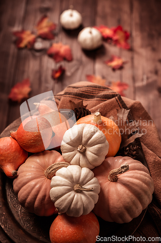 Image of Autumn still life with assorted pumpkins on wooden surface in vintage style