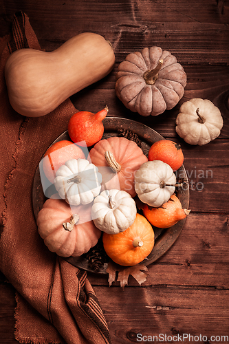 Image of Autumn still life with assorted pumpkins on wooden surface in vi