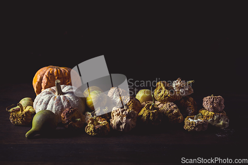 Image of Rotten pumpkins after Thanksgiving and Halloween