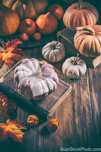 Image of Rustic autumn still life with different pumpkins on wooden surface in vintage style