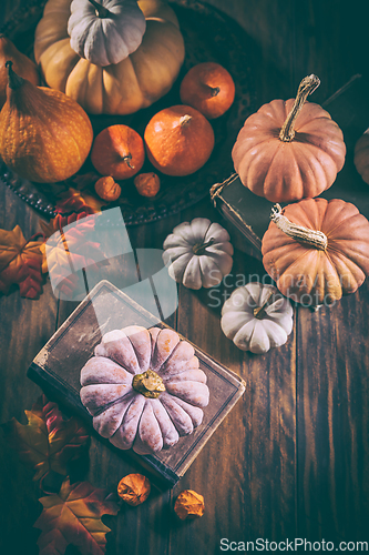 Image of Rustic autumn still life with different pumpkins on wooden surfa