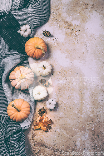 Image of Happy Thanksgiving concept. Autumn composition with ripe pumpkin