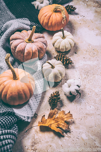 Image of Happy Thanksgiving concept. Autumn composition with ripe pumpkins, fallen leaves, dry flowers, blanket 