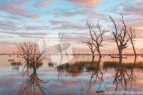 Image of Lake sunsets