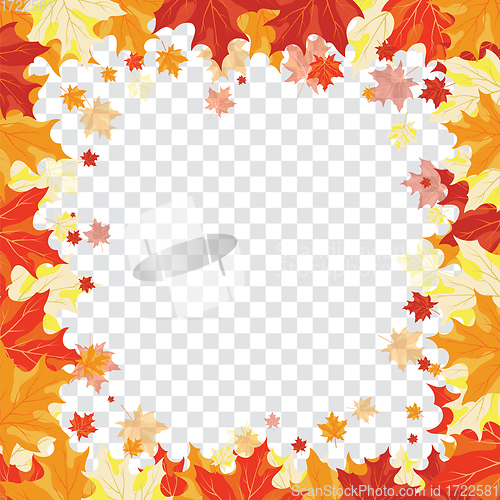 Image of Maple leaves on transparency grid