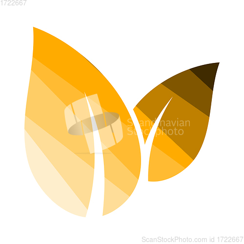 Image of Spa Leaves Icon