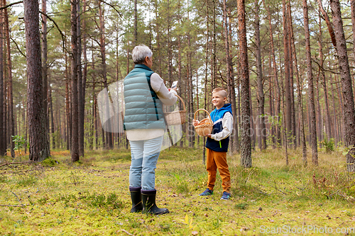 Image of grandmother photographing grandson with mushrooms
