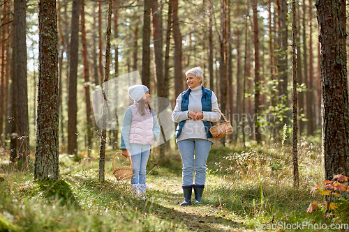 Image of grandmother and granddaughter picking mushrooms