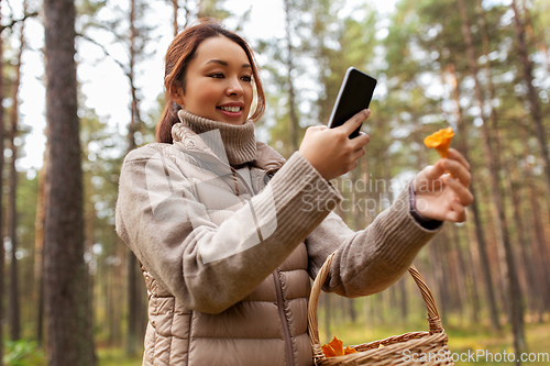 Image of asian woman using smartphone to identify mushroom